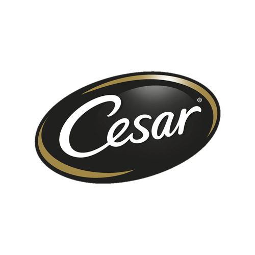 Cesar Logo